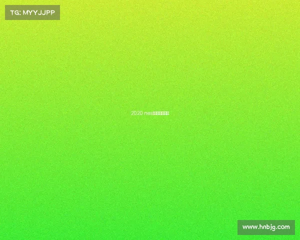 2020 nest全国电竞大赛